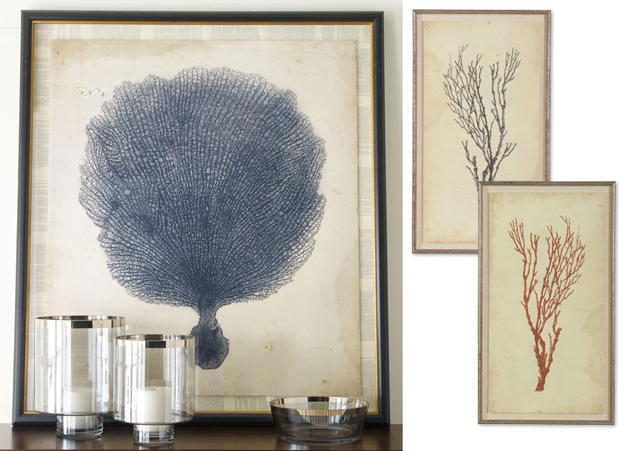 Shown: Antique Coral Specimen I, A and B