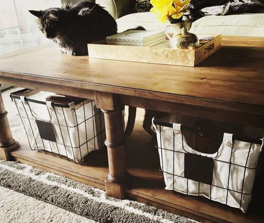 The perfect spot for storage and stealing a catnap: our Delphi coffee table, shared by @aubreyland325.